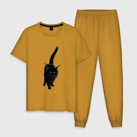 Мужская пижама хлопок с принтом Чёрный пушистый котик в Петрозаводске, 100% хлопок | брюки и футболка прямого кроя, без карманов, на брюках мягкая резинка на поясе и по низу штанин
 | Тематика изображения на принте: 