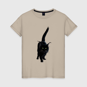 Женская футболка хлопок с принтом Чёрный пушистый котик в Белгороде, 100% хлопок | прямой крой, круглый вырез горловины, длина до линии бедер, слегка спущенное плечо | Тематика изображения на принте: 
