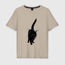 Мужская футболка хлопок Oversize с принтом Чёрный пушистый котик , 100% хлопок | свободный крой, круглый ворот, “спинка” длиннее передней части | 
