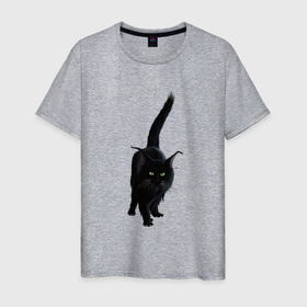 Мужская футболка хлопок с принтом Чёрный пушистый котик в Петрозаводске, 100% хлопок | прямой крой, круглый вырез горловины, длина до линии бедер, слегка спущенное плечо. | 