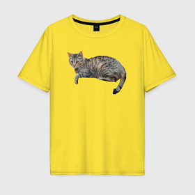 Мужская футболка хлопок Oversize с принтом Котик лежит, отдыхает в Тюмени, 100% хлопок | свободный крой, круглый ворот, “спинка” длиннее передней части | 