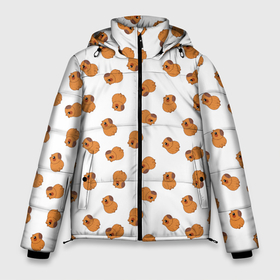 Мужская зимняя куртка 3D с принтом Мини капибары в Белгороде, верх — 100% полиэстер; подкладка — 100% полиэстер; утеплитель — 100% полиэстер | длина ниже бедра, свободный силуэт Оверсайз. Есть воротник-стойка, отстегивающийся капюшон и ветрозащитная планка. 

Боковые карманы с листочкой на кнопках и внутренний карман на молнии. | 