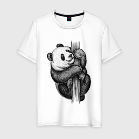 Мужская футболка хлопок с принтом Панда залезла на дерево в Санкт-Петербурге, 100% хлопок | прямой крой, круглый вырез горловины, длина до линии бедер, слегка спущенное плечо. | Тематика изображения на принте: 