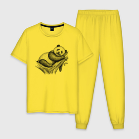 Мужская пижама хлопок с принтом Панда жует бамбук в Курске, 100% хлопок | брюки и футболка прямого кроя, без карманов, на брюках мягкая резинка на поясе и по низу штанин
 | Тематика изображения на принте: 