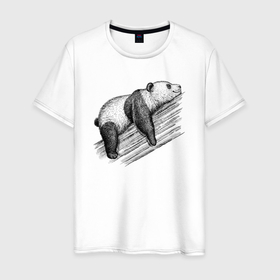 Мужская футболка хлопок с принтом Панда спит на дереве в Петрозаводске, 100% хлопок | прямой крой, круглый вырез горловины, длина до линии бедер, слегка спущенное плечо. | Тематика изображения на принте: 