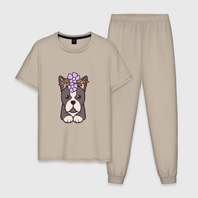 Мужская пижама хлопок с принтом Французский бульдог щенок с цветами , 100% хлопок | брюки и футболка прямого кроя, без карманов, на брюках мягкая резинка на поясе и по низу штанин
 | Тематика изображения на принте: 