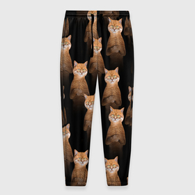 Мужские брюки 3D с принтом Бесконечные рыжие коты в Тюмени, 100% полиэстер | манжеты по низу, эластичный пояс регулируется шнурком, по бокам два кармана без застежек, внутренняя часть кармана из мелкой сетки | 