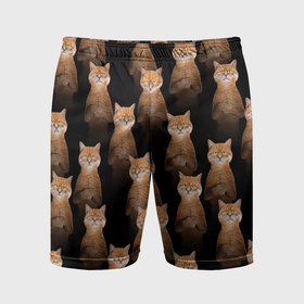 Мужские шорты спортивные с принтом Бесконечные рыжие коты ,  |  | 