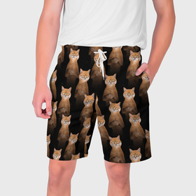 Мужские шорты 3D с принтом Бесконечные рыжие коты в Тюмени,  полиэстер 100% | прямой крой, два кармана без застежек по бокам. Мягкая трикотажная резинка на поясе, внутри которой широкие завязки. Длина чуть выше колен | Тематика изображения на принте: 