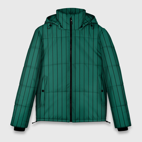 Мужская зимняя куртка 3D с принтом Насыщенный зелёный в полоску в Санкт-Петербурге, верх — 100% полиэстер; подкладка — 100% полиэстер; утеплитель — 100% полиэстер | длина ниже бедра, свободный силуэт Оверсайз. Есть воротник-стойка, отстегивающийся капюшон и ветрозащитная планка. 

Боковые карманы с листочкой на кнопках и внутренний карман на молнии. | Тематика изображения на принте: 