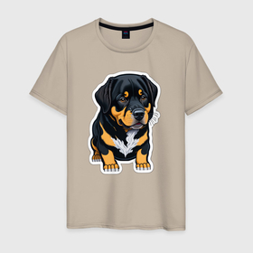 Мужская футболка хлопок с принтом Милый щенок ротвейлера , 100% хлопок | прямой крой, круглый вырез горловины, длина до линии бедер, слегка спущенное плечо. | 