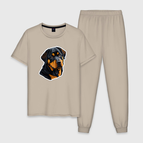 Мужская пижама хлопок с принтом Стикер собаки ротвейлер , 100% хлопок | брюки и футболка прямого кроя, без карманов, на брюках мягкая резинка на поясе и по низу штанин
 | 