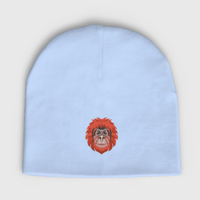 Мужская шапка демисезонная с принтом Orange monkey в Санкт-Петербурге,  |  | Тематика изображения на принте: 