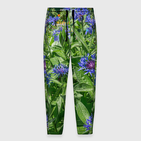 Мужские брюки 3D с принтом Синие васильки с зелеными листьями в Тюмени, 100% полиэстер | манжеты по низу, эластичный пояс регулируется шнурком, по бокам два кармана без застежек, внутренняя часть кармана из мелкой сетки | 