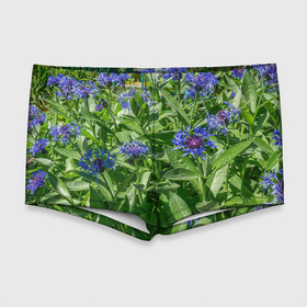 Мужские купальные плавки 3D с принтом Синие васильки с зелеными листьями в Курске, Полиэстер 85%, Спандекс 15% |  | 