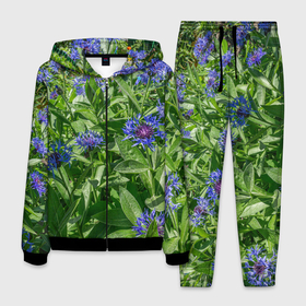 Мужской костюм 3D с принтом Синие васильки с зелеными листьями в Петрозаводске, 100% полиэстер | Манжеты и пояс оформлены тканевой резинкой, двухслойный капюшон со шнурком для регулировки, карманы спереди | 