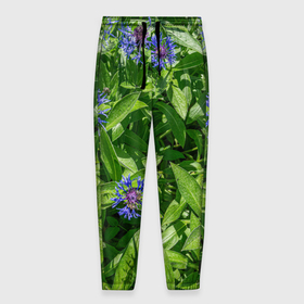 Мужские брюки 3D с принтом Синие васильки с зелеными листьями в саду , 100% полиэстер | манжеты по низу, эластичный пояс регулируется шнурком, по бокам два кармана без застежек, внутренняя часть кармана из мелкой сетки | Тематика изображения на принте: 