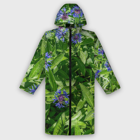 Мужской дождевик 3D с принтом Синие васильки с зелеными листьями в саду ,  |  | Тематика изображения на принте: 
