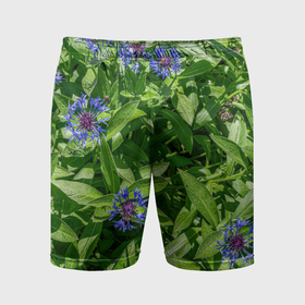 Мужские шорты спортивные с принтом Синие васильки с зелеными листьями в саду ,  |  | Тематика изображения на принте: 