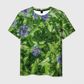 Мужская футболка 3D с принтом Синие васильки с зелеными листьями в саду , 100% полиэфир | прямой крой, круглый вырез горловины, длина до линии бедер | Тематика изображения на принте: 