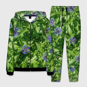 Мужской костюм 3D с принтом Синие васильки с зелеными листьями в саду , 100% полиэстер | Манжеты и пояс оформлены тканевой резинкой, двухслойный капюшон со шнурком для регулировки, карманы спереди | 
