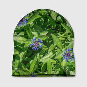 Шапка 3D с принтом Синие васильки с зелеными листьями в саду , 100% полиэстер | универсальный размер, печать по всей поверхности изделия | Тематика изображения на принте: 