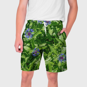 Мужские шорты 3D с принтом Синие васильки с зелеными листьями в саду ,  полиэстер 100% | прямой крой, два кармана без застежек по бокам. Мягкая трикотажная резинка на поясе, внутри которой широкие завязки. Длина чуть выше колен | 