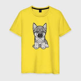 Мужская футболка хлопок с принтом Пушистый щенок в Петрозаводске, 100% хлопок | прямой крой, круглый вырез горловины, длина до линии бедер, слегка спущенное плечо. | 