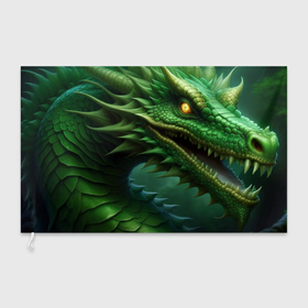 Флаг 3D с принтом Зелёный древесный дракон символ 2024 года в Тюмени, 100% полиэстер | плотность ткани — 95 г/м2, размер — 67 х 109 см. Принт наносится с одной стороны | 