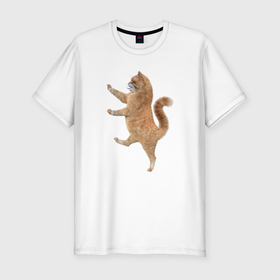 Мужская футболка хлопок Slim с принтом Рыжий геральдический кот в Тюмени, 92% хлопок, 8% лайкра | приталенный силуэт, круглый вырез ворота, длина до линии бедра, короткий рукав | Тематика изображения на принте: 