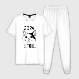 Мужская пижама хлопок с принтом 2024   мемный кот в Курске, 100% хлопок | брюки и футболка прямого кроя, без карманов, на брюках мягкая резинка на поясе и по низу штанин
 | 