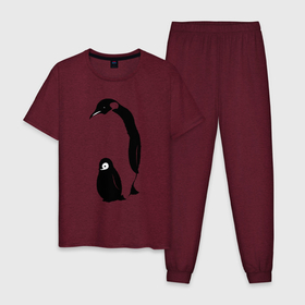 Мужская пижама хлопок с принтом Пингвин с пингвинёнком , 100% хлопок | брюки и футболка прямого кроя, без карманов, на брюках мягкая резинка на поясе и по низу штанин
 | 