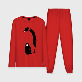 Мужская пижама с лонгсливом хлопок с принтом Пингвин с пингвинёнком в Тюмени,  |  | 