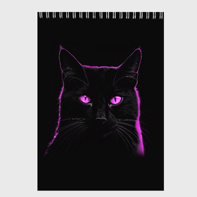 Скетчбук с принтом Черный кот в розовом свечении в Санкт-Петербурге, 100% бумага
 | 48 листов, плотность листов — 100 г/м2, плотность картонной обложки — 250 г/м2. Листы скреплены сверху удобной пружинной спиралью | 