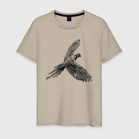 Мужская футболка хлопок с принтом Попугай ара планирует в Курске, 100% хлопок | прямой крой, круглый вырез горловины, длина до линии бедер, слегка спущенное плечо. | 