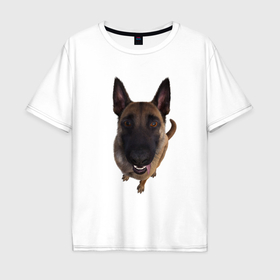 Мужская футболка хлопок Oversize с принтом Собака близко в Кировске, 100% хлопок | свободный крой, круглый ворот, “спинка” длиннее передней части | 