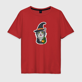 Мужская футболка хлопок Oversize с принтом Красивый котик в шляпе в Санкт-Петербурге, 100% хлопок | свободный крой, круглый ворот, “спинка” длиннее передней части | 