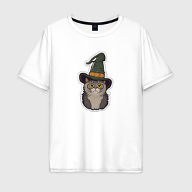 Мужская футболка хлопок Oversize с принтом Испуганный котик в шляпе в Новосибирске, 100% хлопок | свободный крой, круглый ворот, “спинка” длиннее передней части | Тематика изображения на принте: 