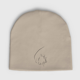 Мужская шапка демисезонная с принтом Спящая кошка в Курске,  |  | Тематика изображения на принте: 