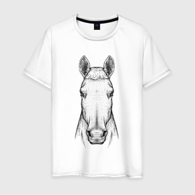 Мужская футболка хлопок с принтом Голова лошади анфас в Екатеринбурге, 100% хлопок | прямой крой, круглый вырез горловины, длина до линии бедер, слегка спущенное плечо. | 