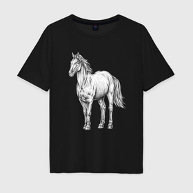 Мужская футболка хлопок Oversize с принтом Белая лошадь стоит в Санкт-Петербурге, 100% хлопок | свободный крой, круглый ворот, “спинка” длиннее передней части | 