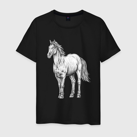 Мужская футболка хлопок с принтом Белая лошадь стоит в Санкт-Петербурге, 100% хлопок | прямой крой, круглый вырез горловины, длина до линии бедер, слегка спущенное плечо. | 