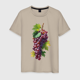 Мужская футболка хлопок с принтом Кисть винограда в Курске, 100% хлопок | прямой крой, круглый вырез горловины, длина до линии бедер, слегка спущенное плечо. | 