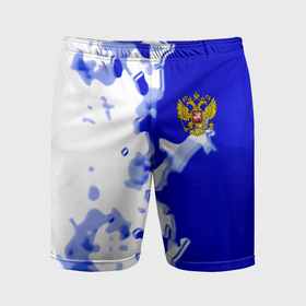 Мужские шорты спортивные с принтом Россия спортивная коллекция 2023 ,  |  | 