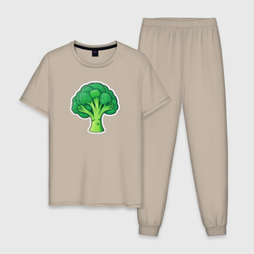 Мужская пижама хлопок с принтом Зеленые брокколи в Екатеринбурге, 100% хлопок | брюки и футболка прямого кроя, без карманов, на брюках мягкая резинка на поясе и по низу штанин
 | 