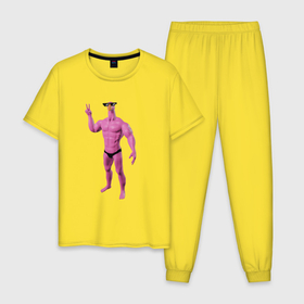 Мужская пижама хлопок с принтом Гусь качок , 100% хлопок | брюки и футболка прямого кроя, без карманов, на брюках мягкая резинка на поясе и по низу штанин
 | 