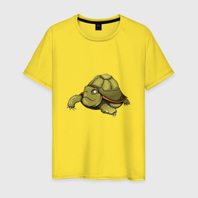 Мужская футболка хлопок с принтом Зеленая черепаха в Кировске, 100% хлопок | прямой крой, круглый вырез горловины, длина до линии бедер, слегка спущенное плечо. | 