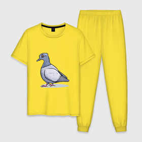 Мужская пижама хлопок с принтом Ученый голубь в Тюмени, 100% хлопок | брюки и футболка прямого кроя, без карманов, на брюках мягкая резинка на поясе и по низу штанин
 | 