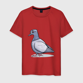 Мужская футболка хлопок с принтом Ученый голубь в Петрозаводске, 100% хлопок | прямой крой, круглый вырез горловины, длина до линии бедер, слегка спущенное плечо. | 