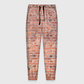 Мужские брюки 3D с принтом Кирпичная стена узор в Санкт-Петербурге, 100% полиэстер | манжеты по низу, эластичный пояс регулируется шнурком, по бокам два кармана без застежек, внутренняя часть кармана из мелкой сетки | 